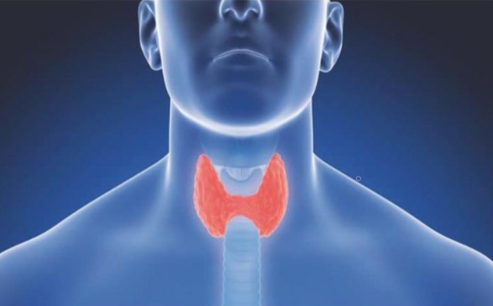 image tiroides
